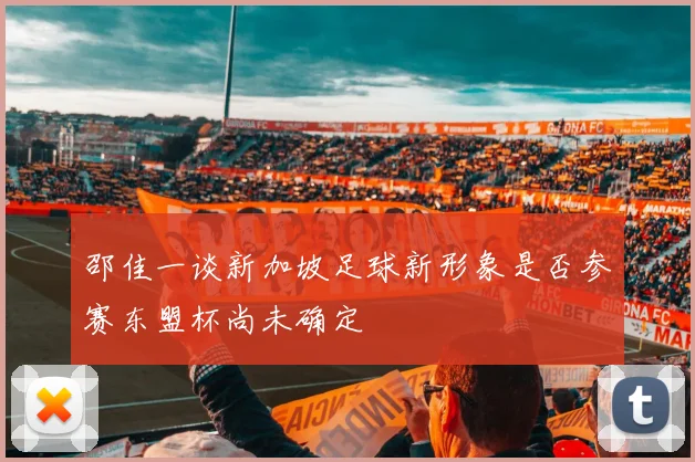 邵佳一谈新加坡足球新形象是否参赛东盟杯尚未确定