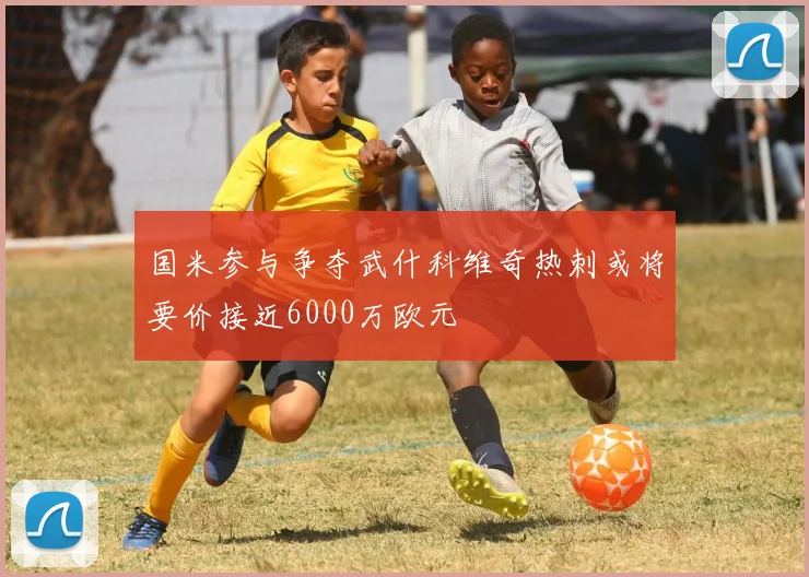 国米参与争夺武什科维奇热刺或将要价接近6000万欧元