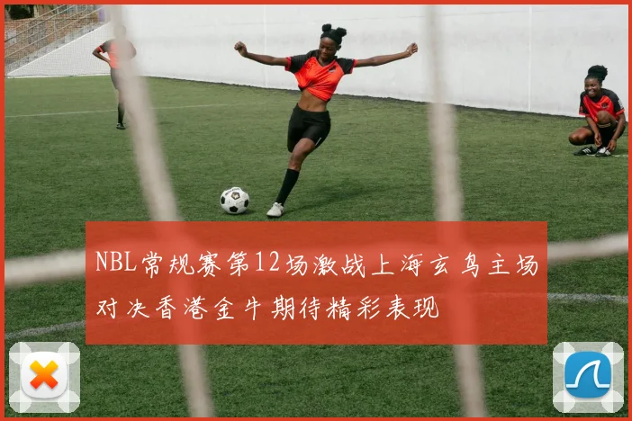 NBL常规赛第12场激战上海玄鸟主场对决香港金牛期待精彩表现